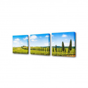 Модульная картина Великая Тоскана Toplight 150х50см TL-M2001