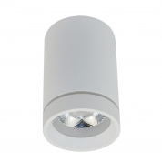 Потолочный светодиодный светильник Aployt Edda APL.0053.09.10
