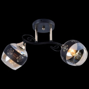 Потолочный светильник Reluce 01254-0.3-02 BK+FGD