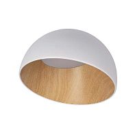 Потолочный светодиодный светильник Loft IT Egg 10197/350 White