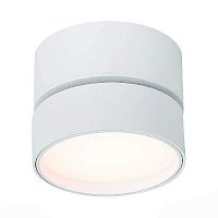 Светодиодный спот ST Luce ST651.532.14