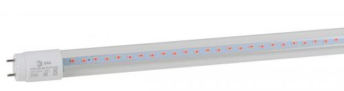 Лампа светодиодная для растений ЭРА G13 9W 1200K прозрачная Fito-9W-RB-Т8-G13-NL Б0042986 фото 8