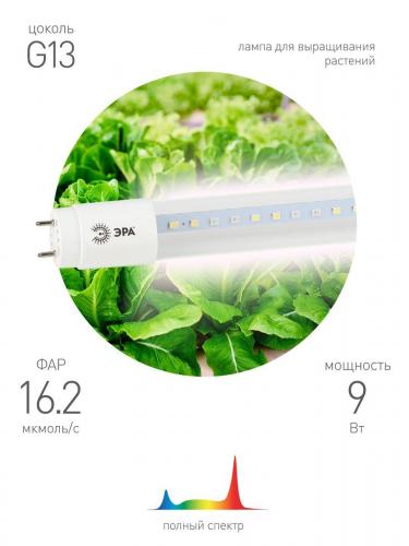Лампа светодиодная для растений ЭРА G13 9W 1200K прозрачная Fito-9W-Ra90-Т8-G13-NL Б0042988 фото 4