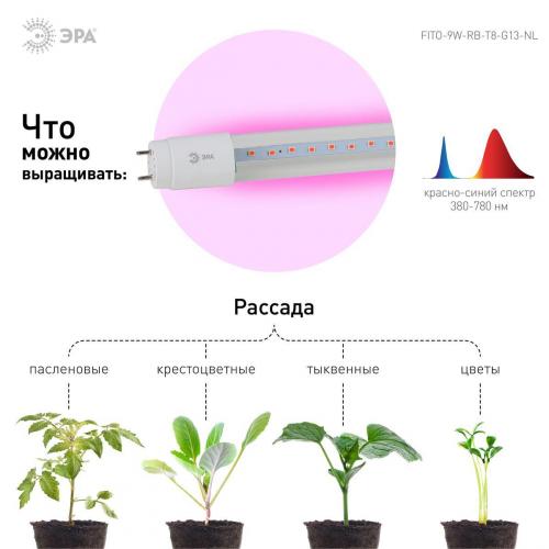 Лампа светодиодная для растений ЭРА G13 9W 1200K прозрачная Fito-9W-RB-Т8-G13-NL Б0042986 фото 4