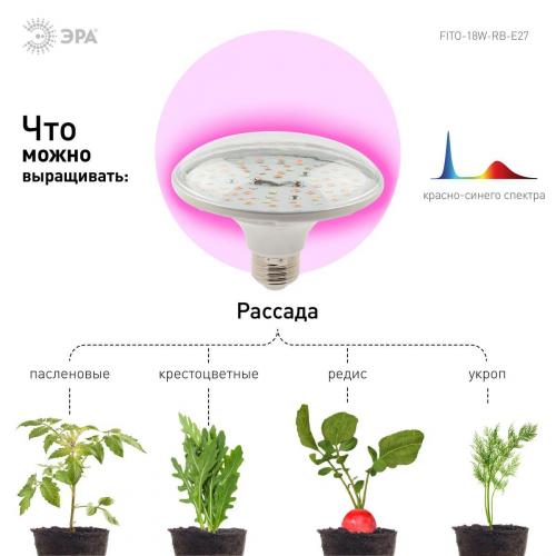 Лампа светодиодная для растений ЭРА FITO-18W-RB-E27 Б0049533 фото 3