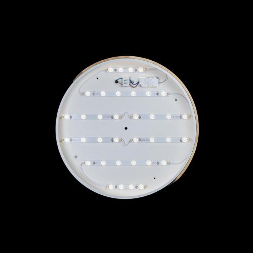 Потолочный светодиодный светильник Loft IT Axel 10004/36 white фото 3