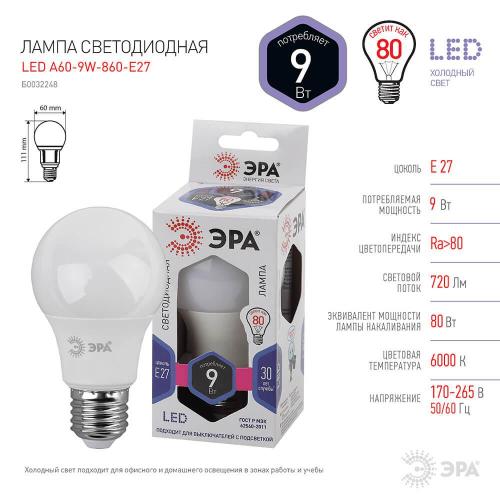 Лампа светодиодная ЭРА E27 9W 6500K матовая A60-9W-860-E27 Б0032248 фото 2