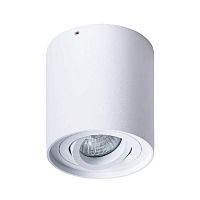 Потолочный светильник Arte Lamp Falcon A5645PL-1WH