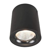 Потолочный светодиодный светильник Arte Lamp Facile A5118PL-1BK