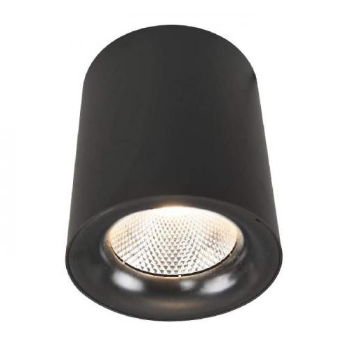 Потолочный светодиодный светильник Arte Lamp Facile A5118PL-1BK