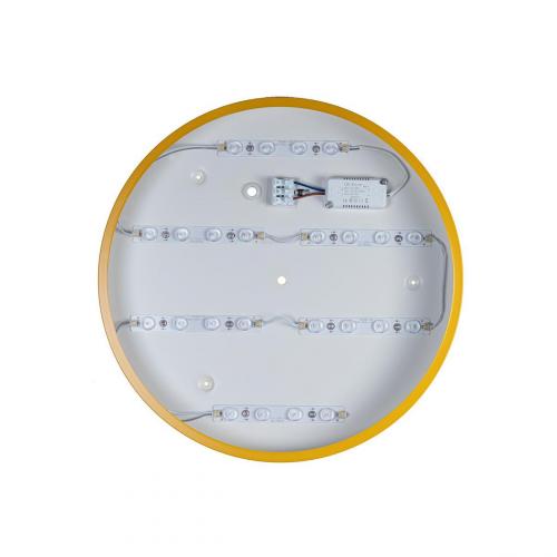 Потолочный светодиодный светильник Loft IT Axel 10002/24 yellow фото 5