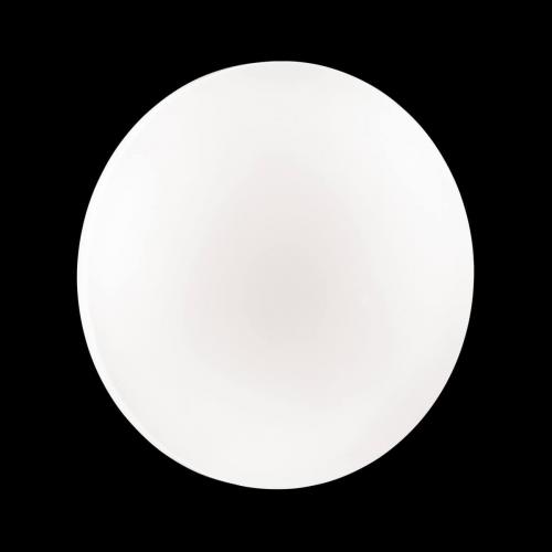 Настенно-потолочный светильник Sonex Pale Simple 3017/CL фото 6