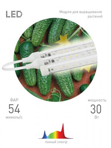 Модульный светодиодный светильник для растений ЭРА Fito-3х10W-Line-Ra90 Б0049315 фото 3