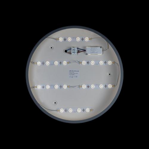 Потолочный светодиодный светильник Loft IT Axel 10003/24 grey фото 4
