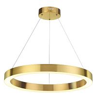 Подвесной светодиодный светильник Odeon Light L-vision Brizzi 3885/35LG