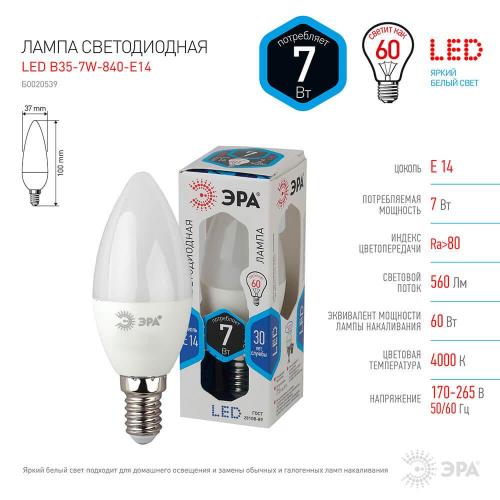 Лампа светодиодная ЭРА E14 7W 4000K матовая LED B35-7W-840-E14 Б0020539 фото 2