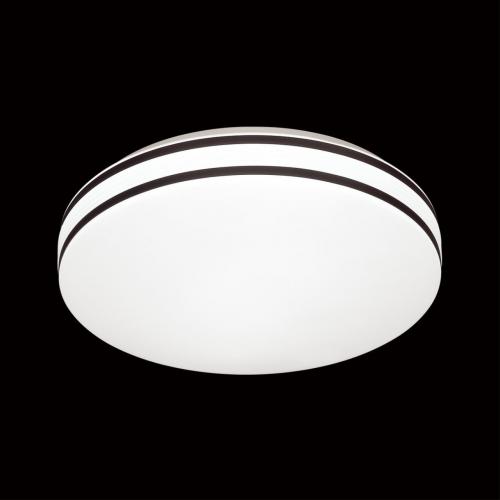 Настенно-потолочный светодиодный светильник Sonex Pale Lobio 3055/AL фото 3