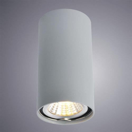 Потолочный светильник Arte Lamp A1516PL-1GY фото 2