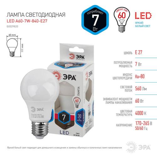 Лампа светодиодная ЭРА E27 7W 4000K матовая LED A60-7W-840-E27 Б0029820 фото 2