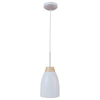 Подвесной светильник Loft IT Watchman Loft4402A-Wh