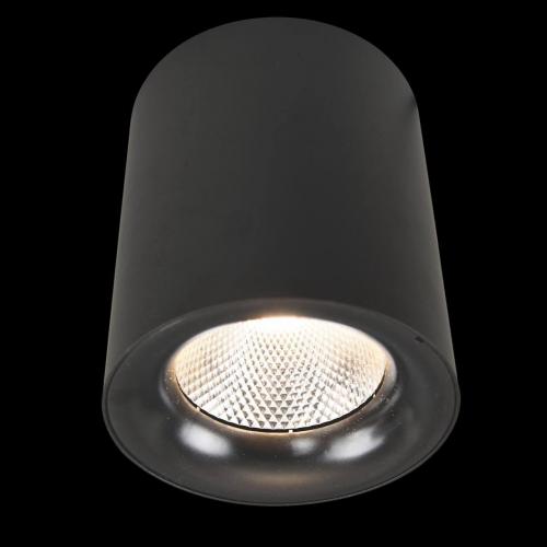 Потолочный светодиодный светильник Arte Lamp Facile A5118PL-1BK фото 2