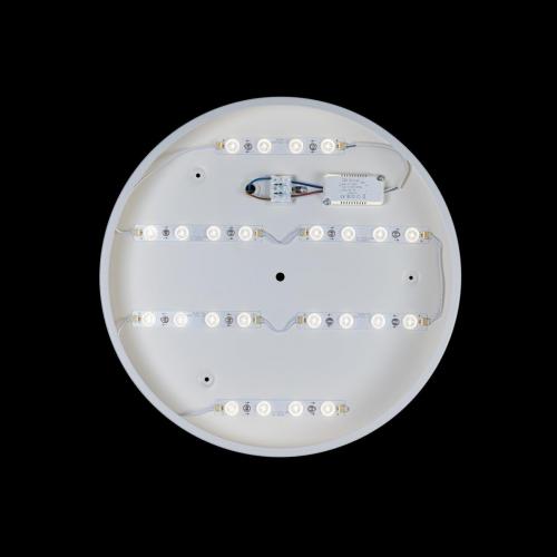 Потолочный светодиодный светильник Loft IT Axel 10002/24 white фото 3