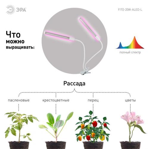 Светодиодный светильник для растений ЭРА Fito-20W-Аled-L Б0049550 фото 2