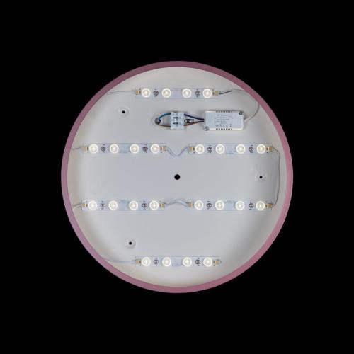 Потолочный светодиодный светильник Loft IT Axel 10003/24 pink фото 3