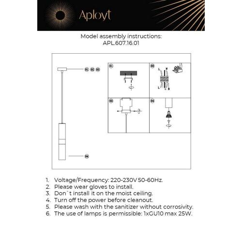 Подвесной светильник Aployt Mireil APL.607.16.01 фото 2