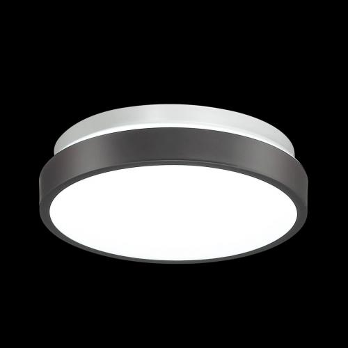 Настенно-потолочный светильник Sonex Mini Smalli 3012/AL фото 4