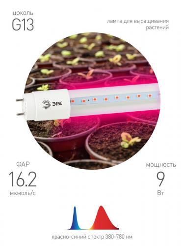 Лампа светодиодная для растений ЭРА G13 9W 1200K прозрачная Fito-9W-RB-Т8-G13-NL Б0042986 фото 2