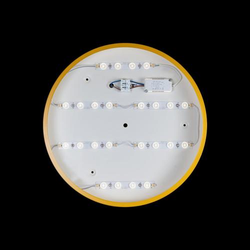 Потолочный светодиодный светильник Loft IT Axel 10002/24 yellow фото 4