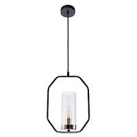 Подвесной светильник Arte Lamp Celaeno A7004SP-1BK