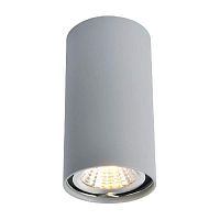 Потолочный светильник Arte Lamp A1516PL-1GY