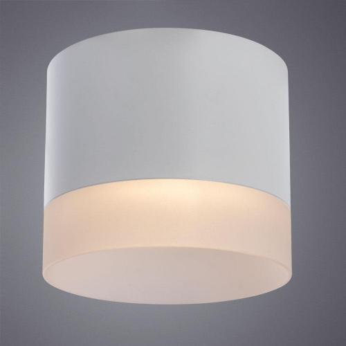 Потолочный светильник Arte Lamp Castor A5554PL-1WH фото 3