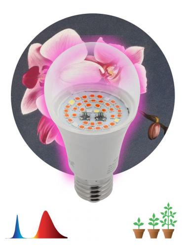 Лампа светодиодная для растений ЭРА E27 14W 1310K прозрачная Fito-14W-RB-E27 Б0050602 фото 2