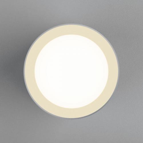 Потолочный светодиодный светильник Elektrostandard DLR022 12W 4200K белый матовый a037524 фото 2